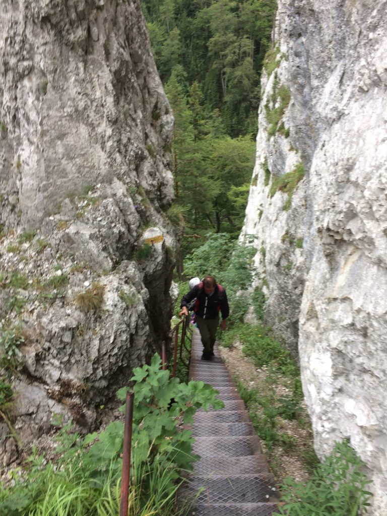 Hannes' first challenge: The Schönbrunnerstiege