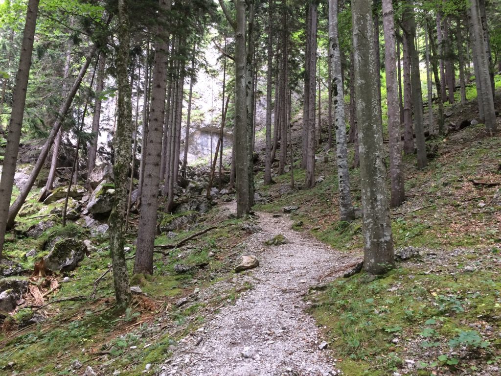 Trail towards the start of Teufelsbadstubensteig