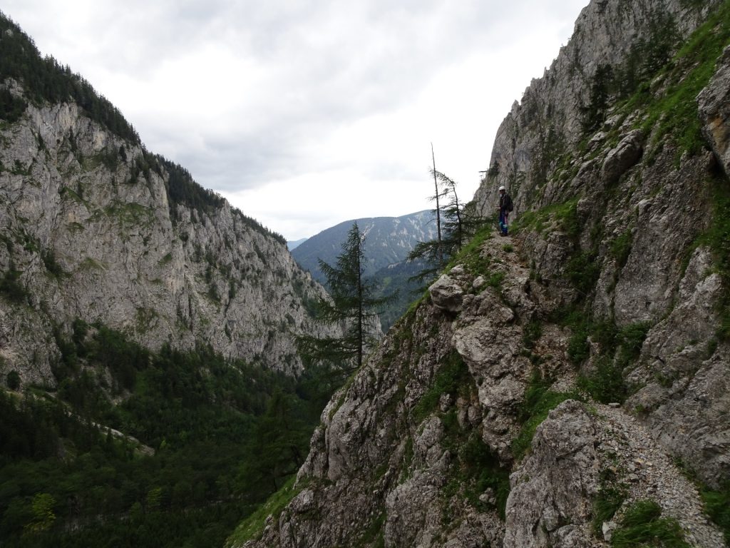 View from the trail