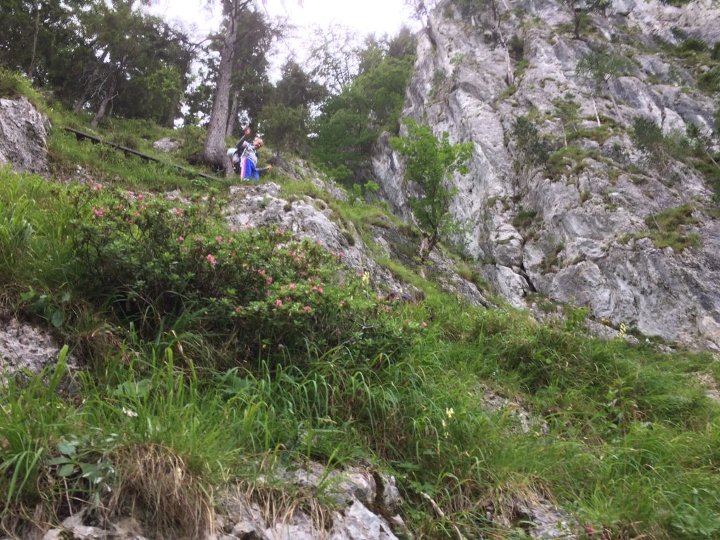 Descending via Wachthüttelkamm