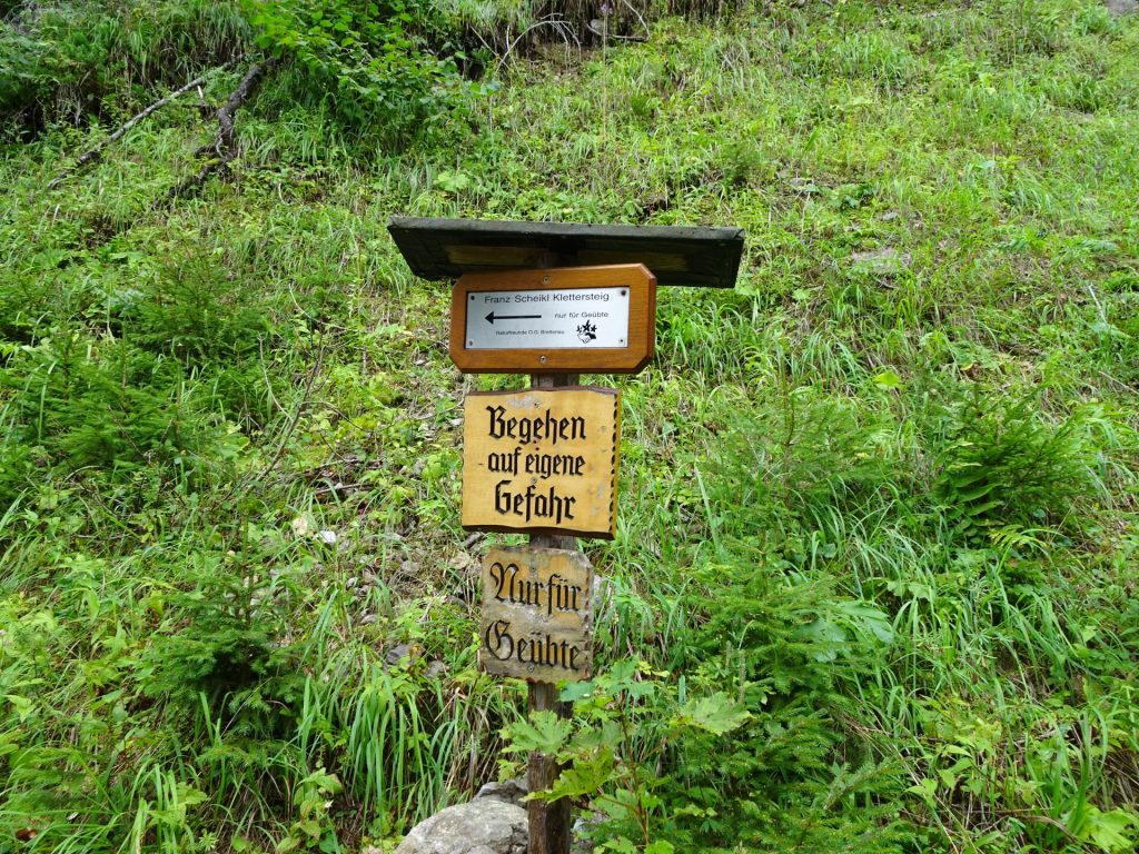 Signpost showing the direction