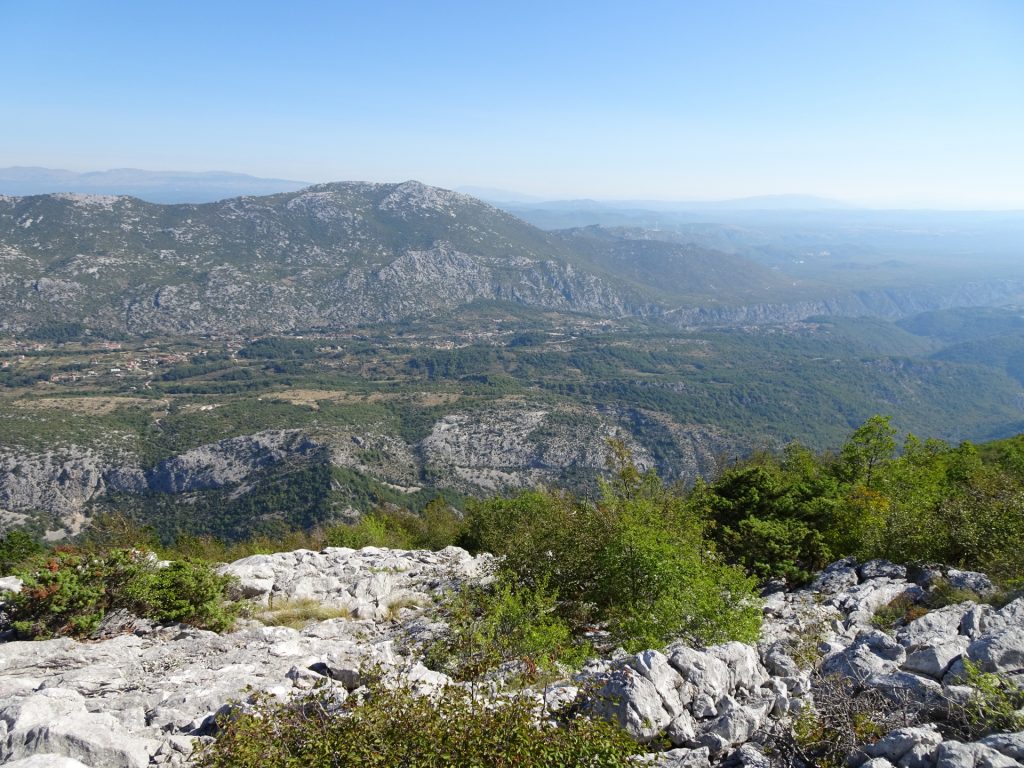 View from trail