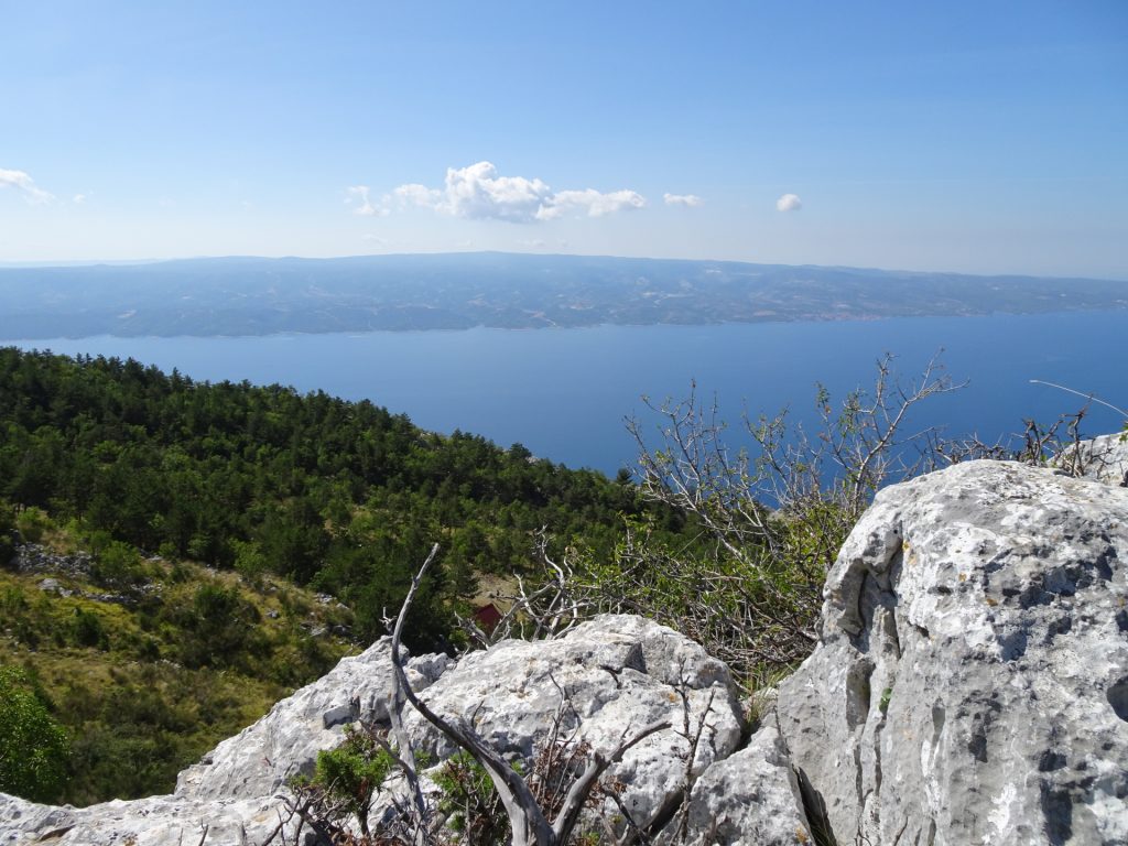 View from the trail