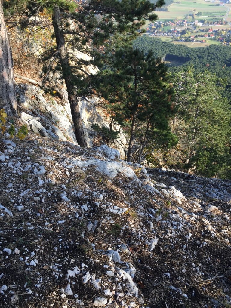 Continue climbing on the Holzknechtsteig (I+ / II-)