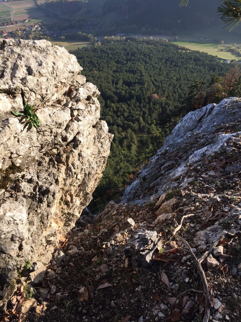 View from Holzknechtsteig