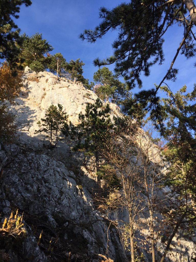 View from Holzknechtsteig