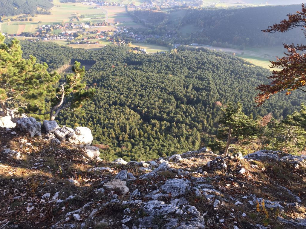 View from the trail