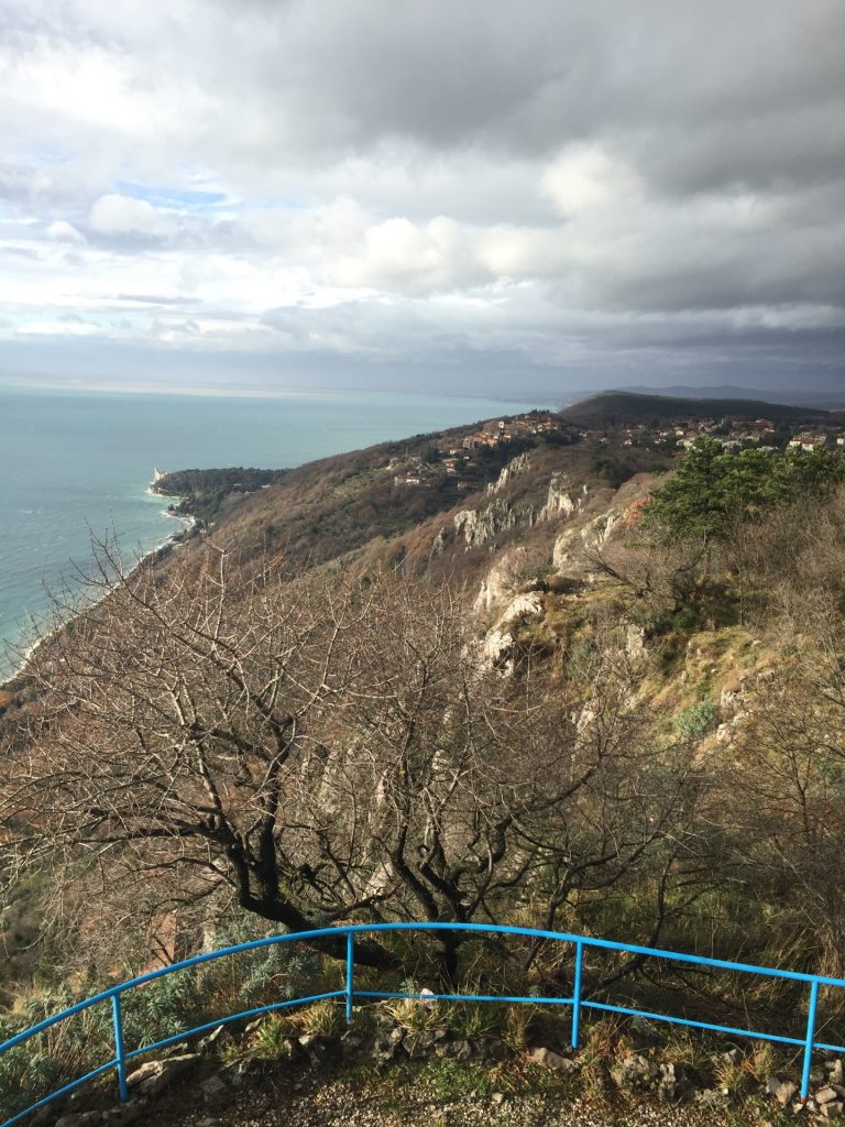 View from the lookout tower