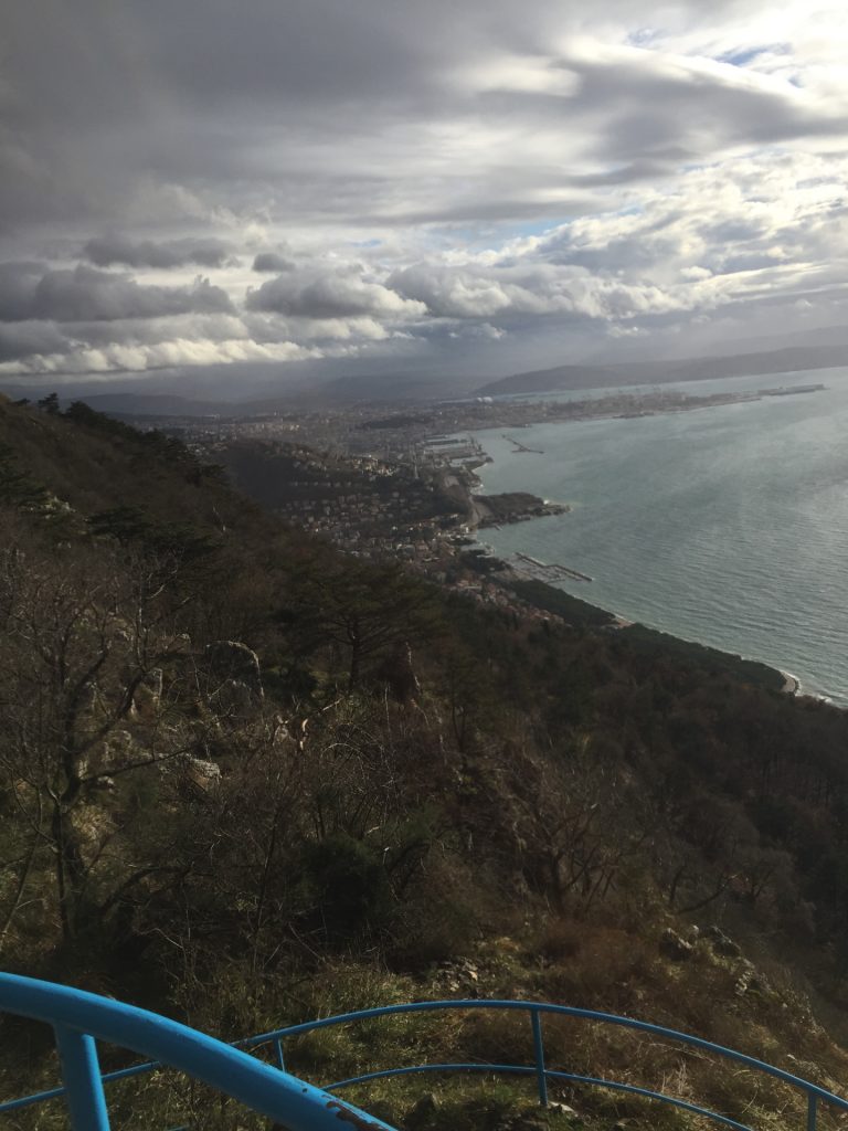 View from the lookout tower