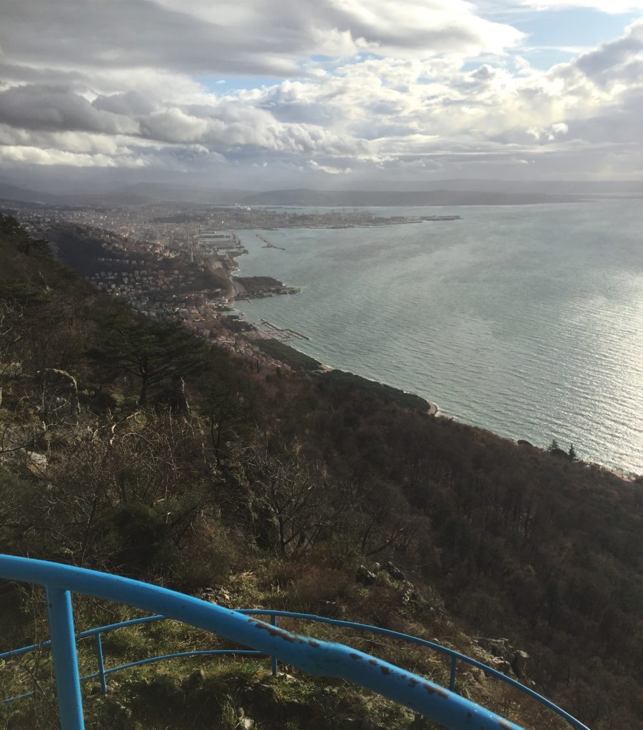 View from the lookout tower