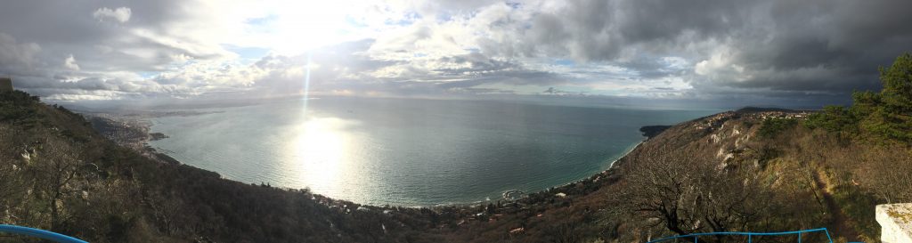 Panoramic view from the lookout tower