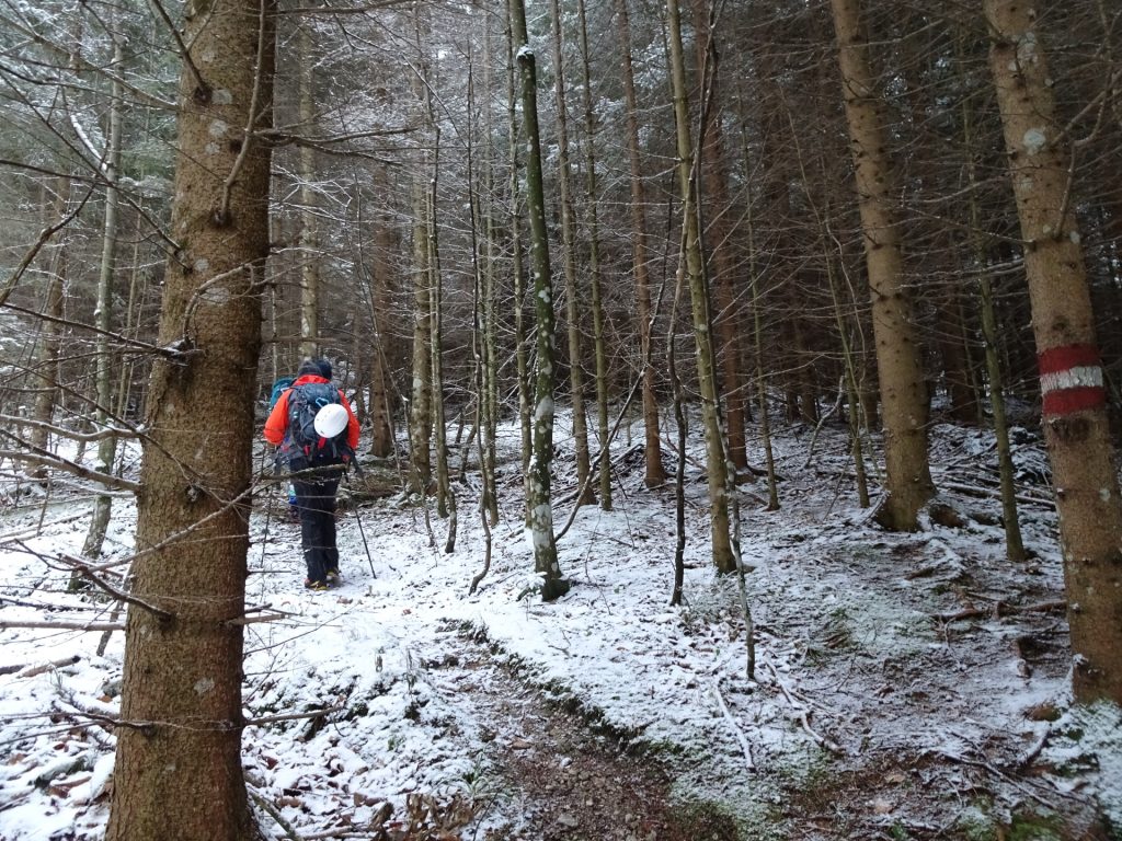 Trail towards Hoyossteig