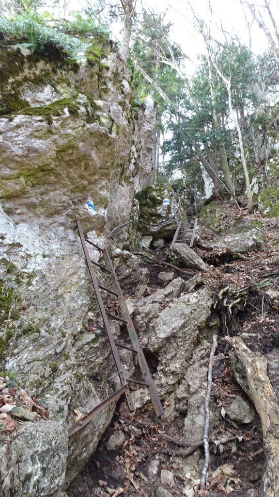 The crux of "Drobilsteig": Two easy iron ladders