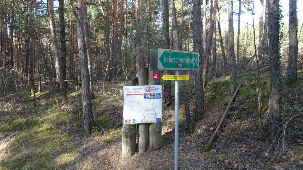 Towards the barefoot trail (turn left here)