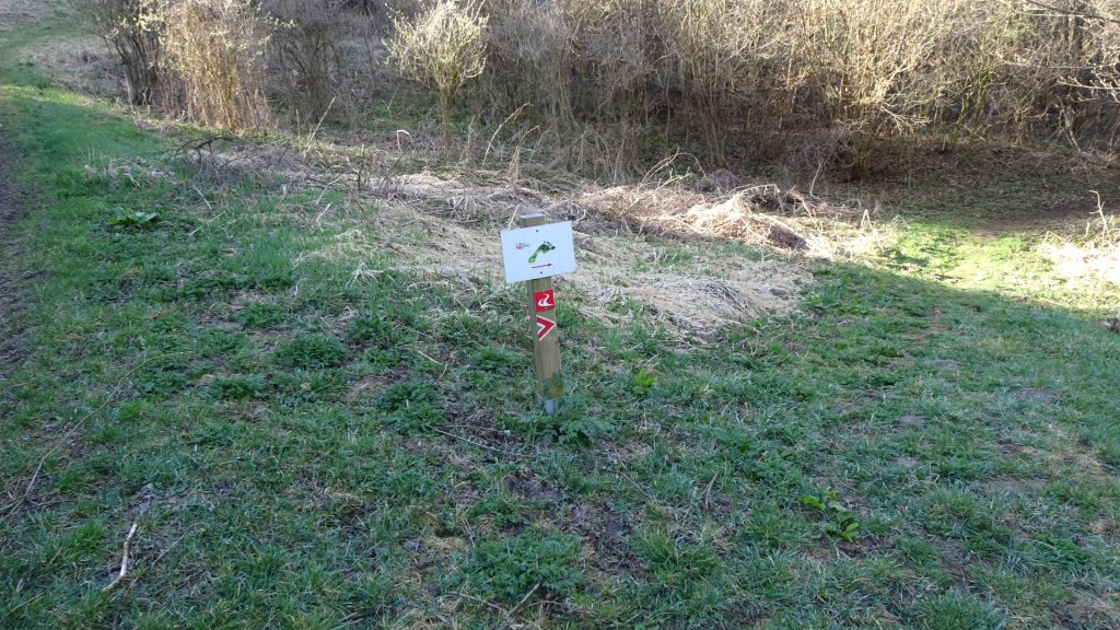 Start of the barefoot trail