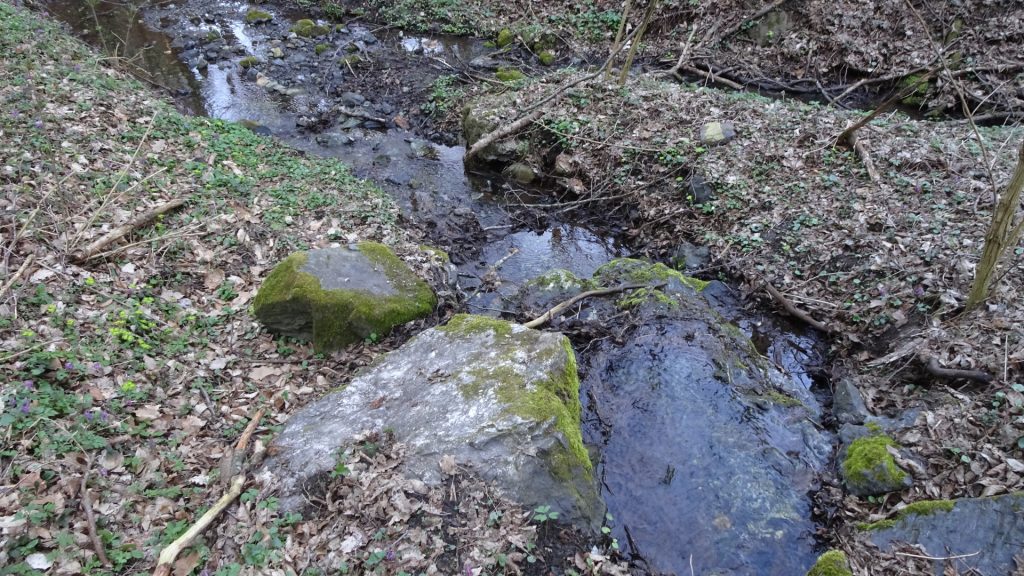 Walking along next to the small river