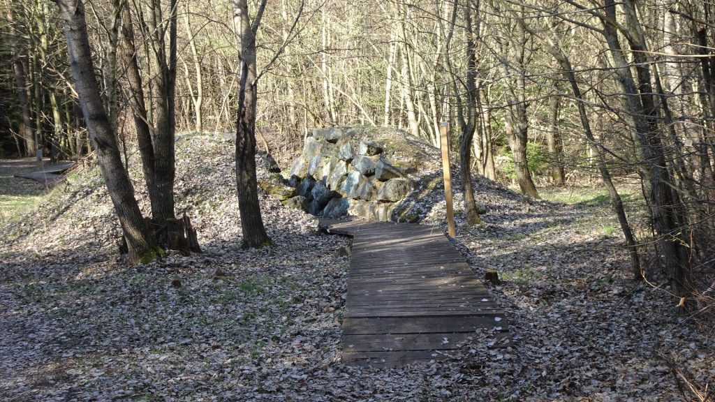 Wooden bridge on the trail