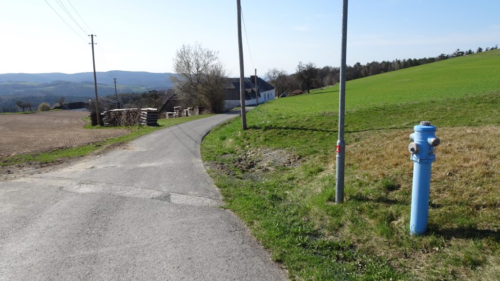 Following the street at "Oberhasel"