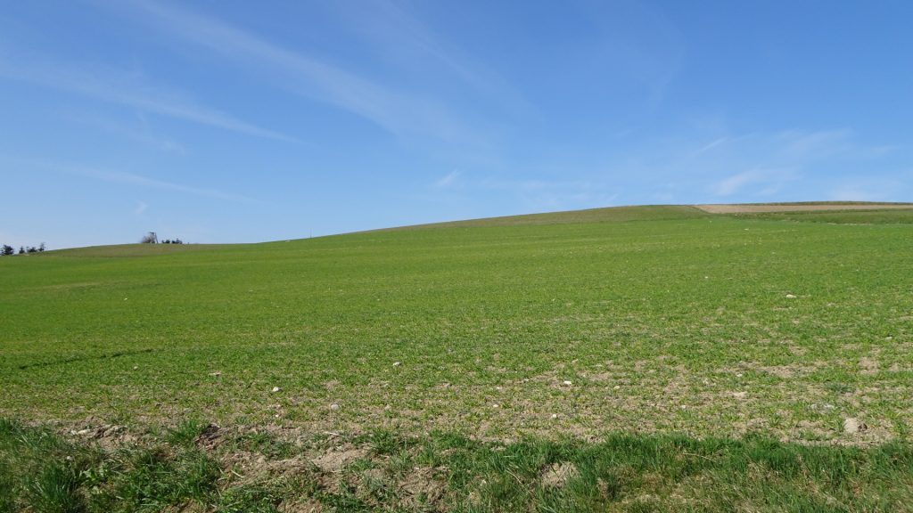 View from the street at "Oberhasel"