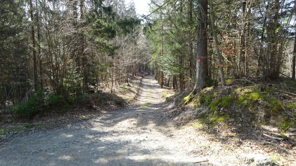 Trail towards "Goberling"