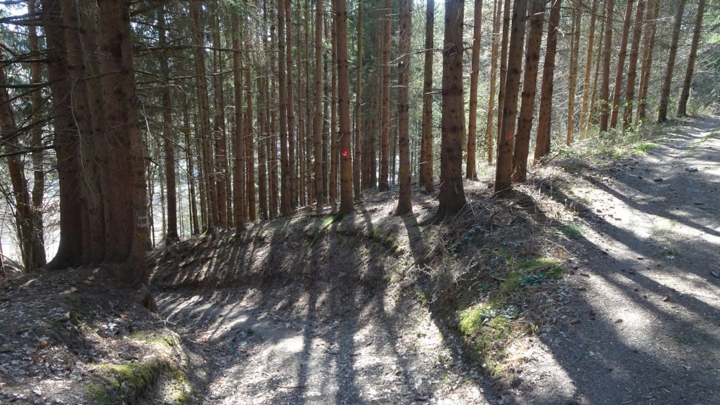 Turn left and follow the marked trail towards "Goberling"