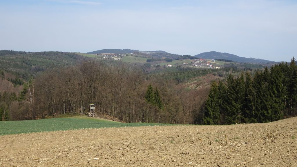 View from the trail