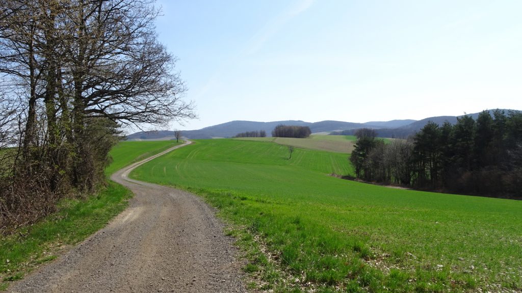 On the road towards "Unterkohlstätten"