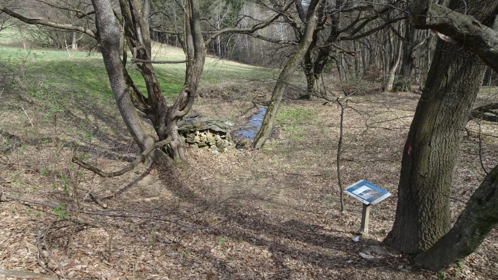 Trail towards "Unterkohlstätten"