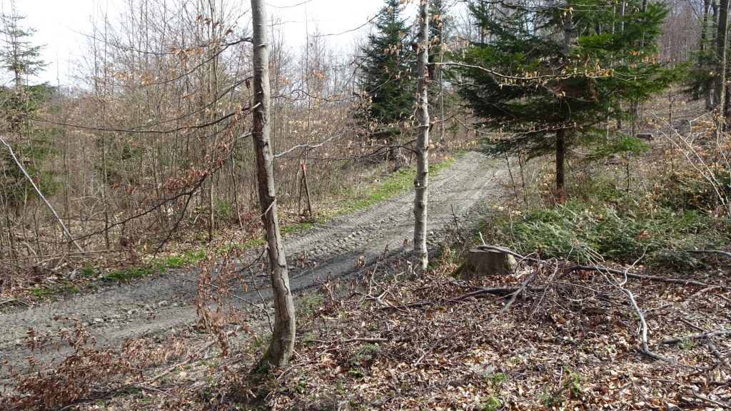 Turn right and follow the forest road (not obvious, not marked)