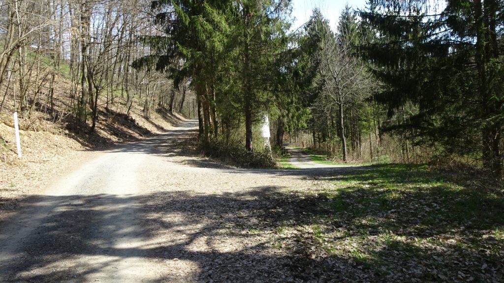 Keep right here and follow the lower track towards the lake