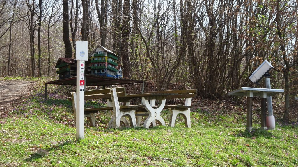 Rest area with nice view after "Oberkohlstätten"