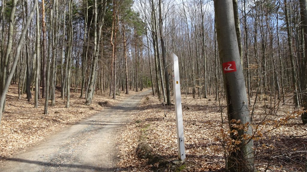 Trail towards "Hirschenstein"