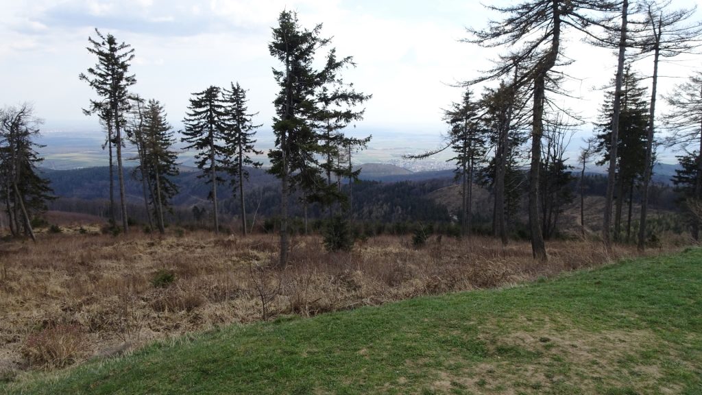 View from the highest peak of "Burgenland" ("Geschriebenstein")