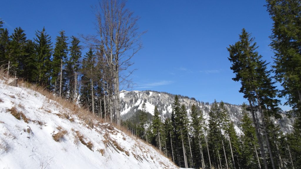 View back towards "Schneealpe"