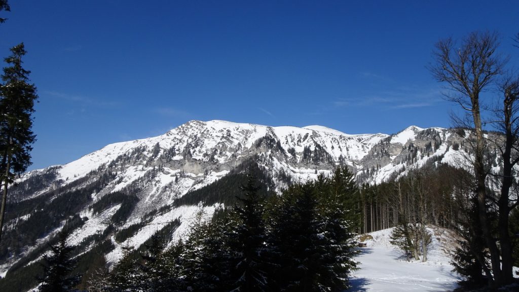 View back towards "Schneealpe"