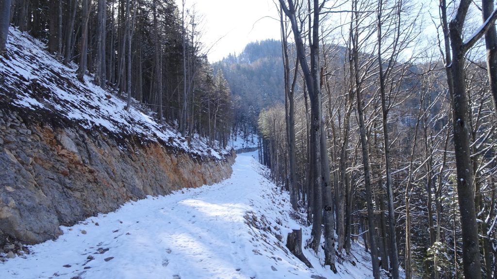 Road towards "Gamseck"