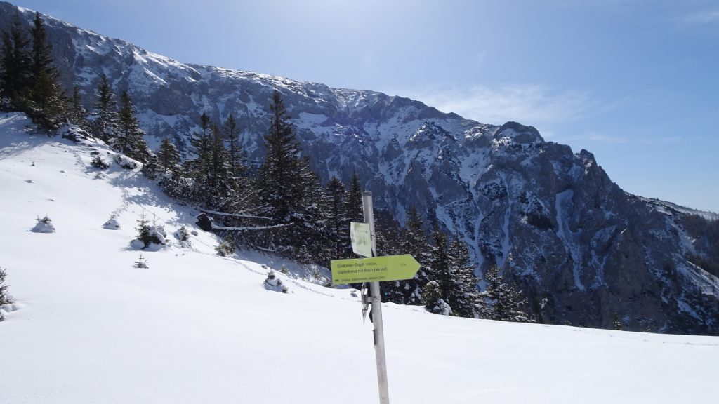 At the "Gupfsattel" (saddle). Turn right here towards "Grabner Gupf"