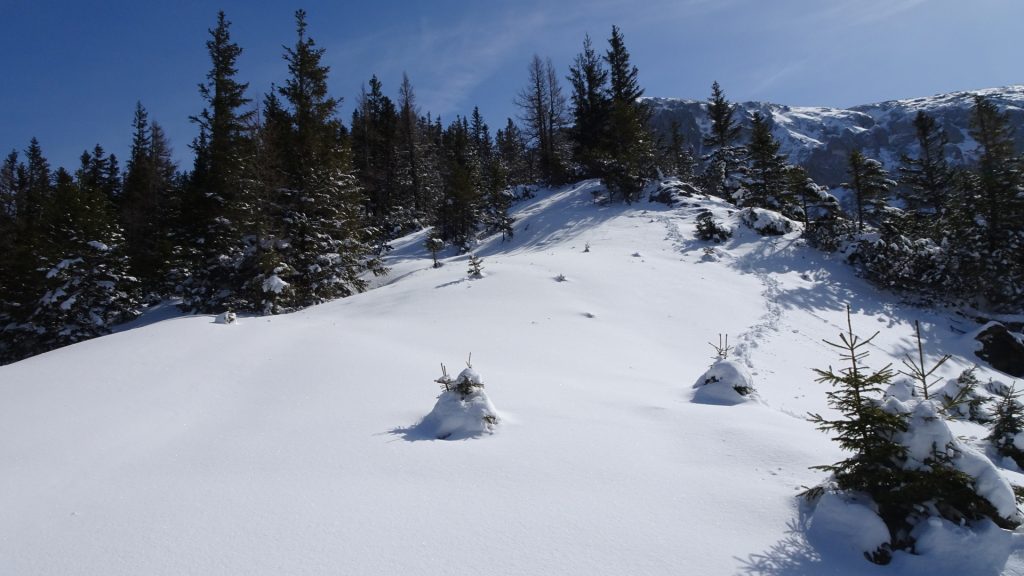 Trail towards "Wildes Gamseck" (UIAA II)