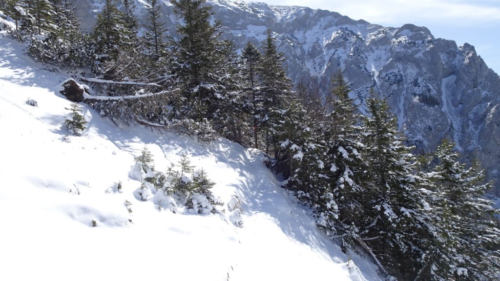 Trail towards "Zahmes Gamseck" (Via ferrata, Cat. A)