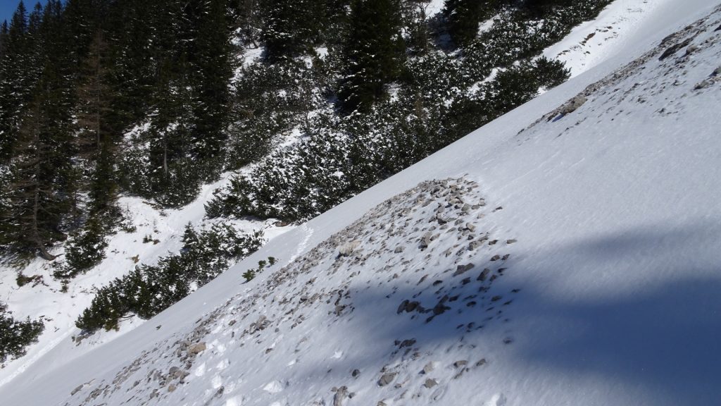 Steep slope (on trail towards "Zahmes Gamseck")