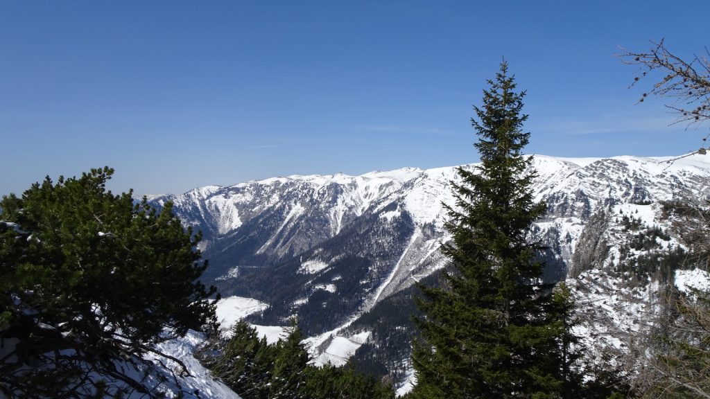 View towards "Schneealpe"