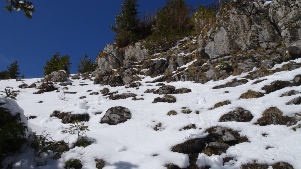 Steep trail upwards to "Grabner Gupf"