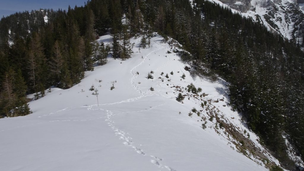 Descending towards "Gupfsattel" (and seeing all my footprints :))