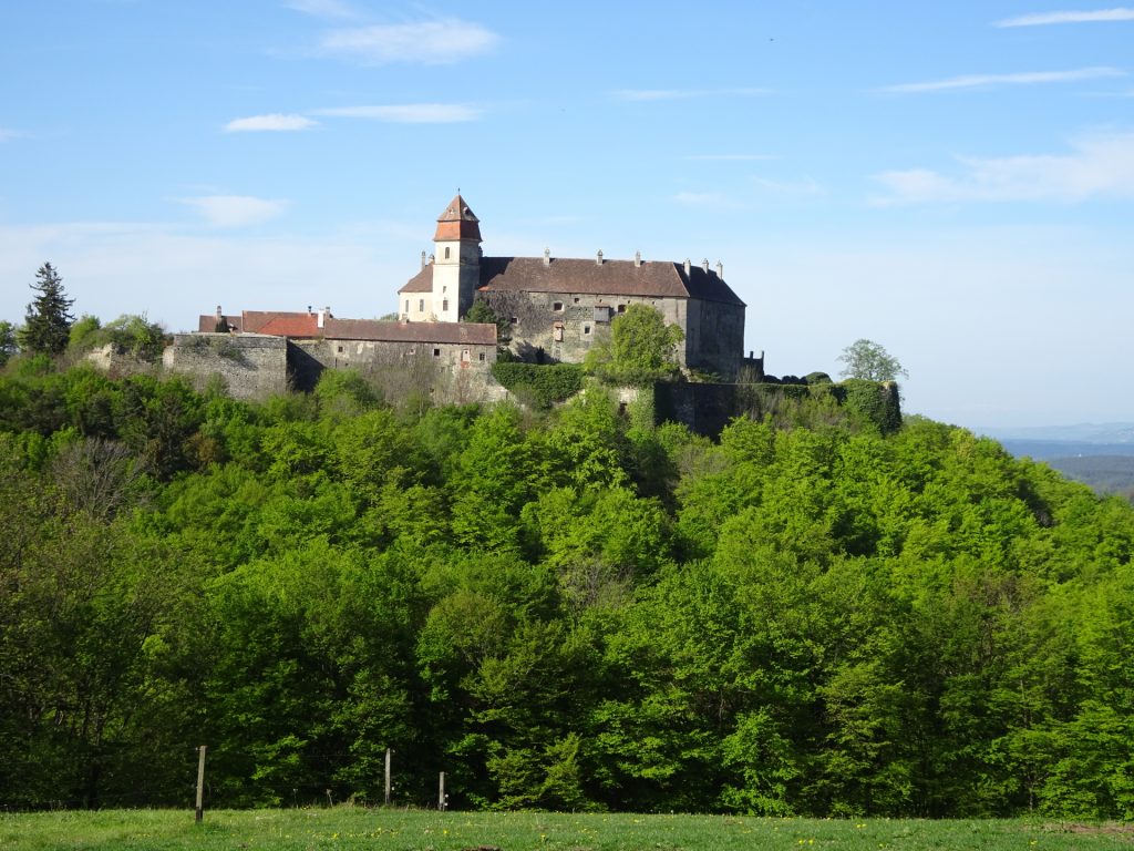 Castle of Bernstein seen from the trail