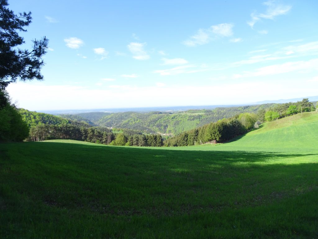 The "Höhbock" view