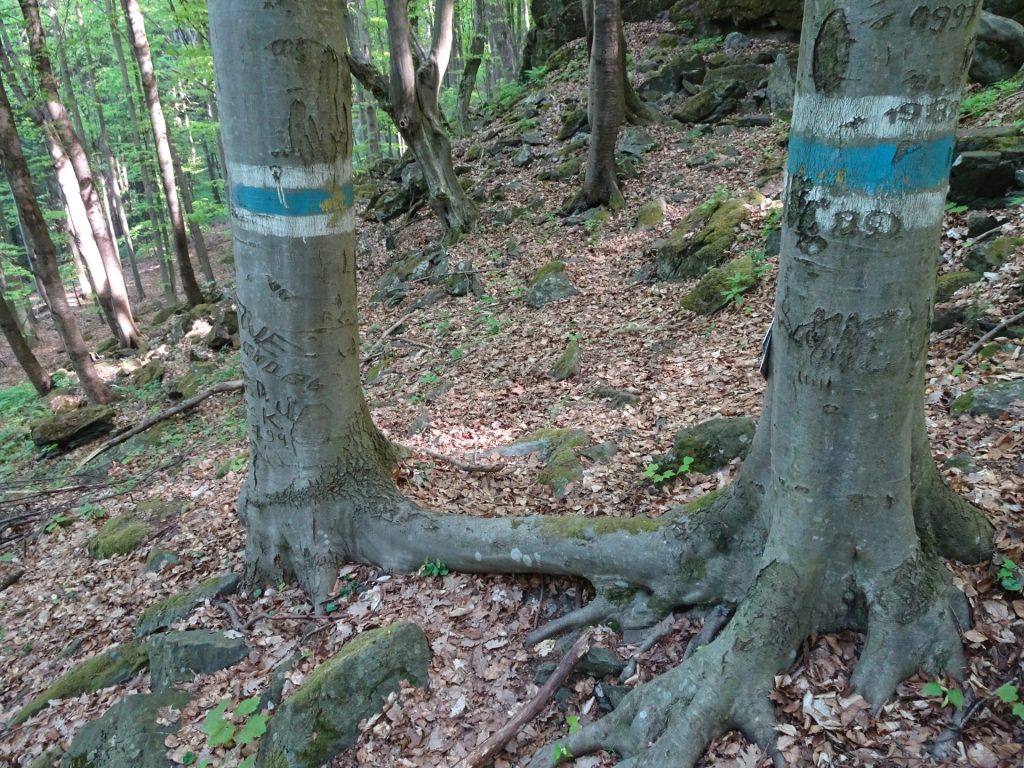 The "gate" towards Speckkammerl