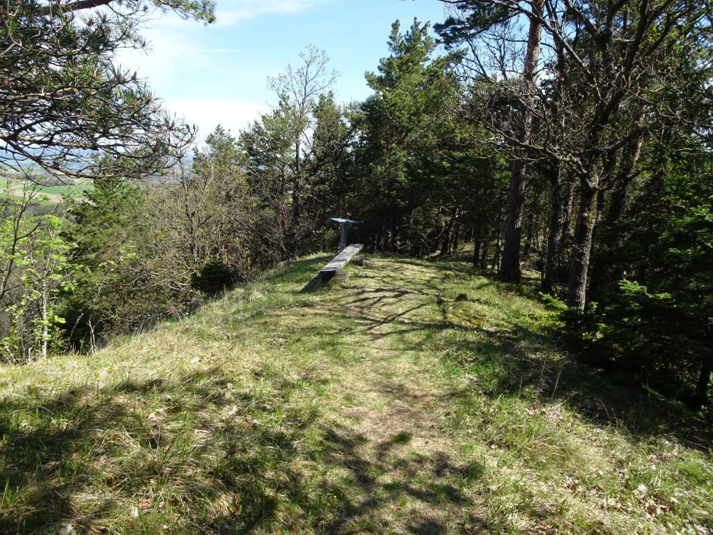 "Steinstückl" viewpoint