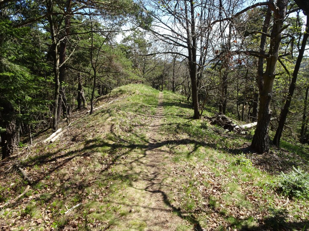 "Steinstückl" trail 