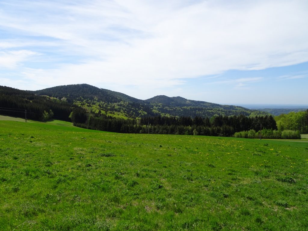 View from the trail towards "Kalteneck"