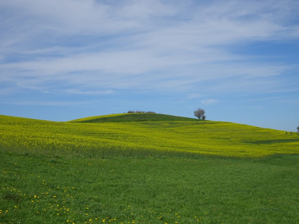 View towards "Kalteneckberg"